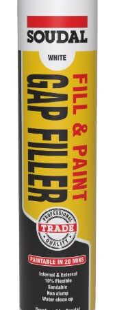 Fill & Paint Gap Filler 300ml White