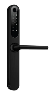 Cora  Ellipse Handle  Wall Mixer Matt Black Lead Free