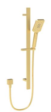 Eden Rail Shower  Brushed Gold