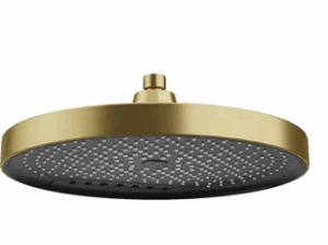 300mm 2F Shower Head