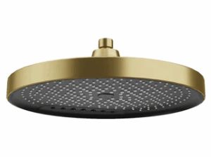 300mm 2F Shower Head