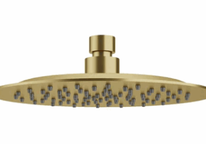 200mm S/S Over Shower Head