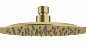 200mm S/S Over Shower Head