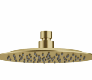 200mm S/S Over Shower Head