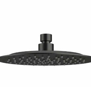 200mm S/S Over Shower Head